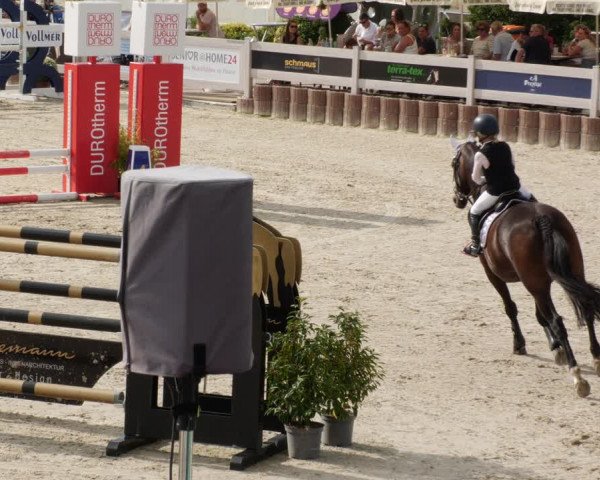 Reitturnier Winterlingen 2023