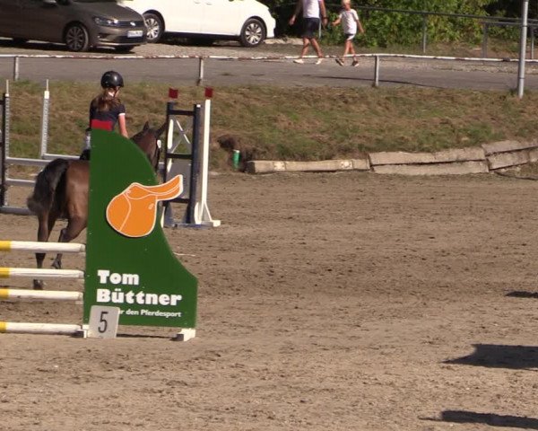 Reitturnier Langenleuba - Oberhain 2023