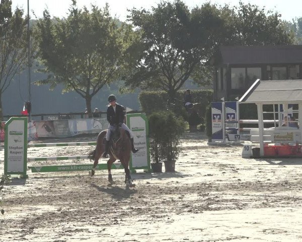 Reitturnier Osnabrück 2023