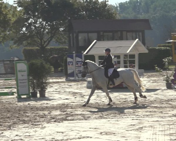 Reitturnier Osnabrück 2023