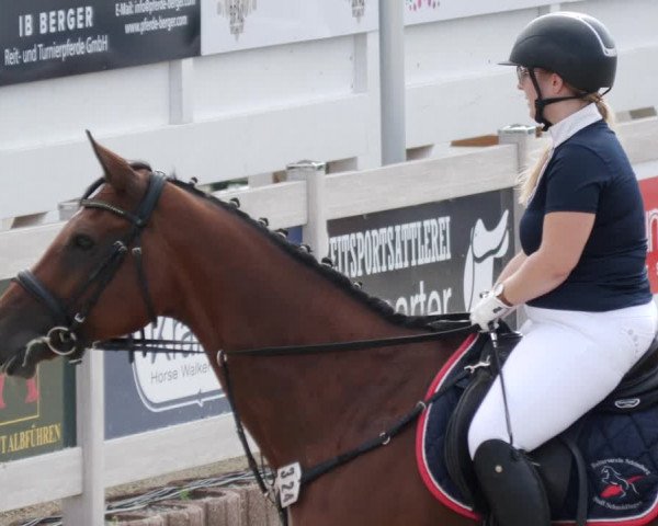 Reitturnier Winterlingen 2023