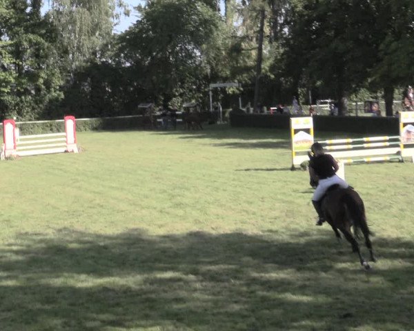 Reitturnier Westeregeln 2023