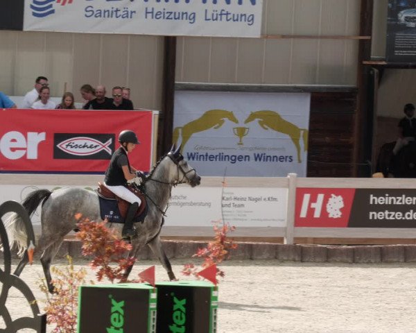 Reitturnier Winterlingen 2023