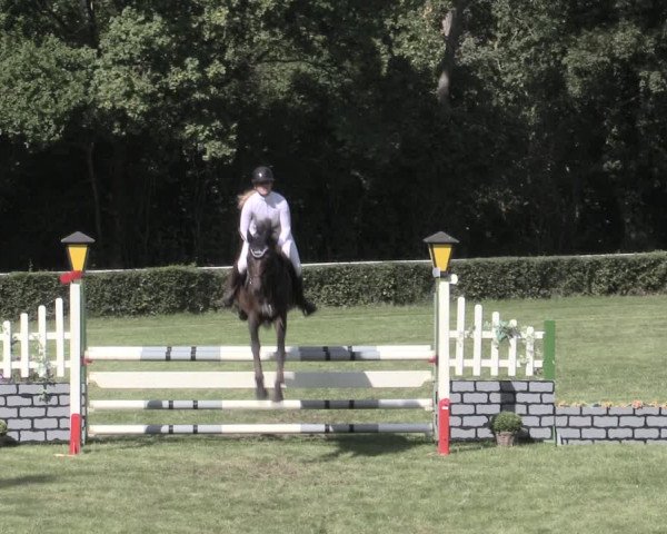 Reitturnier Westeregeln 2023