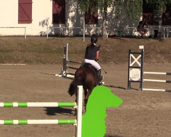 Reitturnier Langenleuba - Oberhain 2023