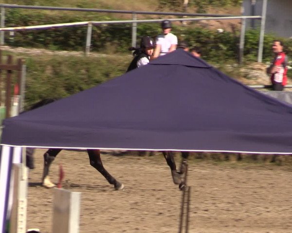 Reitturnier Langenleuba - Oberhain 2023