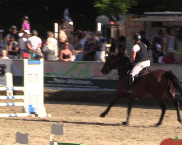 Reitturnier Langenleuba - Oberhain 2023