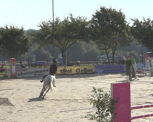 Reitturnier Osnabrück 2023