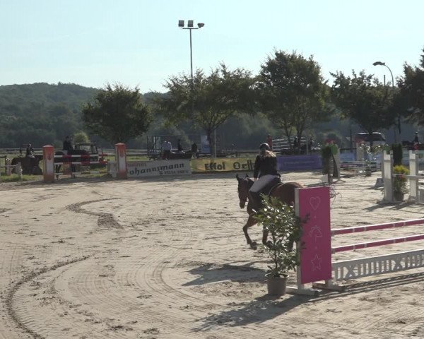 Reitturnier Osnabrück 2023