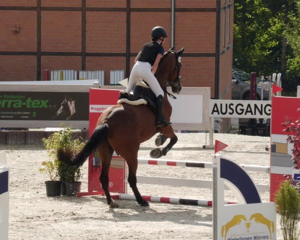 Reitturnier Winterlingen 2023