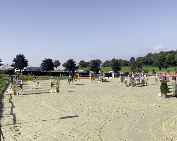 Video von Cicero's Uno