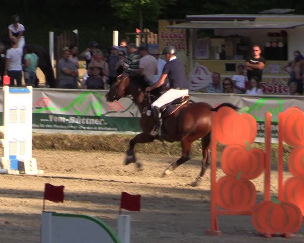 Reitturnier Langenleuba - Oberhain 2023
