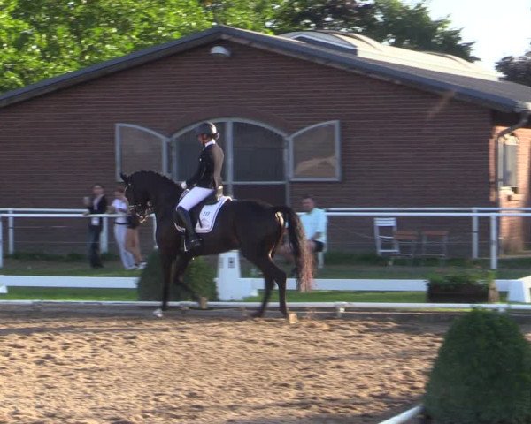 Reitturnier Münchehofe 2023