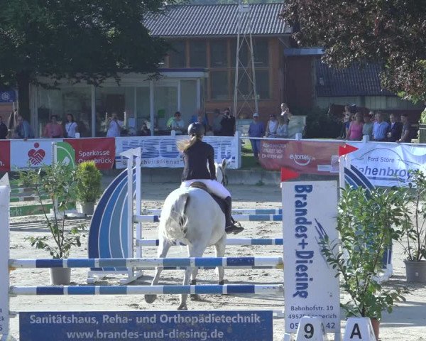 Reitturnier Osnabrück 2023