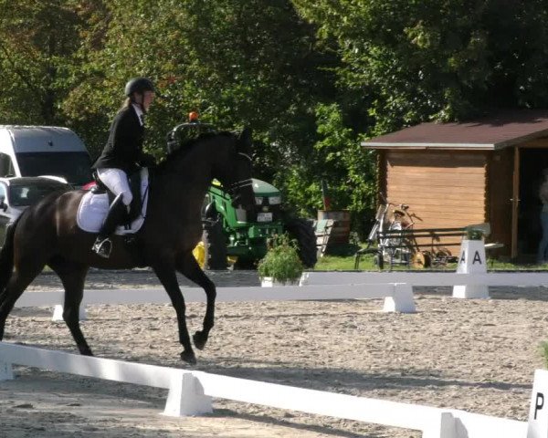 Reitturnier Westeregeln 2023