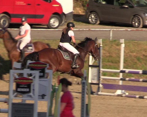 Reitturnier Langenleuba - Oberhain 2023