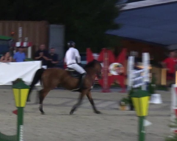 Reitturnier Leichlingen-Witzhelden 2023