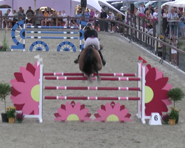 Reitturnier Leichlingen-Witzhelden 2023