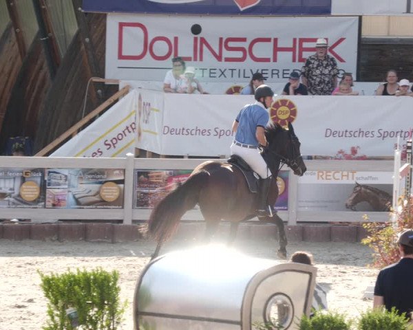 Reitturnier Winterlingen 2023