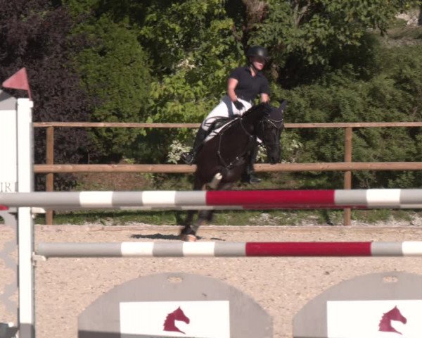 Reitturnier St. Ulrich am Pillersee 2023