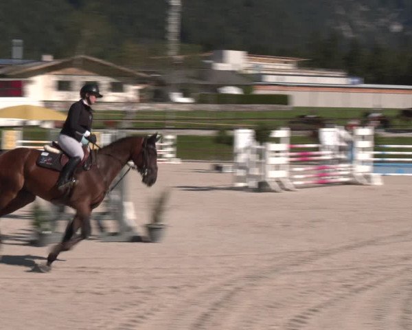 Reitturnier St. Ulrich am Pillersee 2023