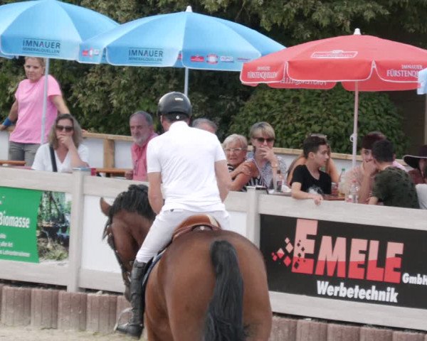 Reitturnier Winterlingen 2023