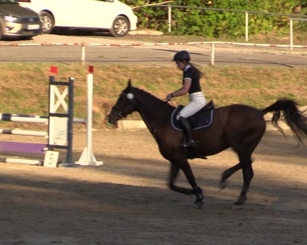 Reitturnier Langenleuba - Oberhain 2023
