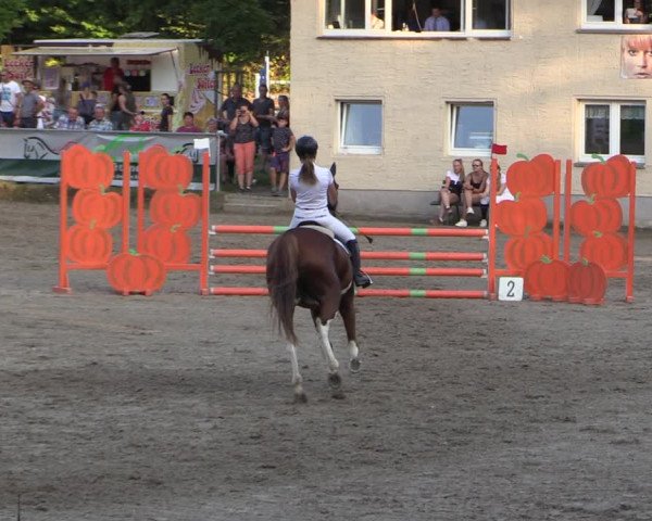 Reitturnier Langenleuba - Oberhain 2023