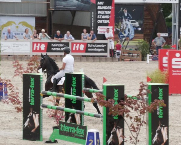Reitturnier Winterlingen 2023