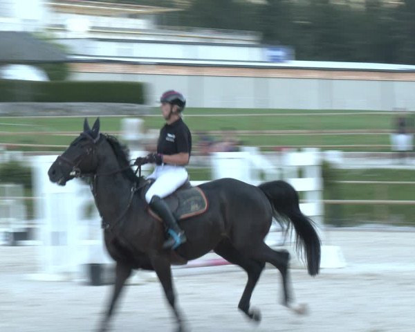 Reitturnier St. Ulrich am Pillersee 2023
