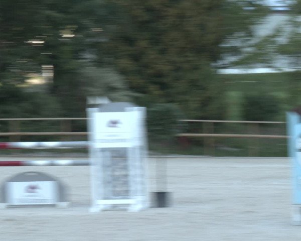 Reitturnier St. Ulrich am Pillersee 2023