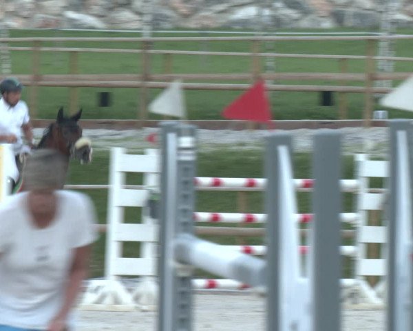 Reitturnier St. Ulrich am Pillersee 2023