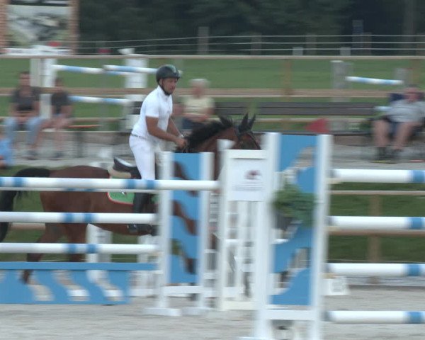 Reitturnier St. Ulrich am Pillersee 2023