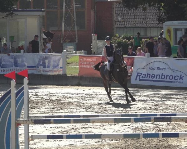 Reitturnier Osnabrück 2023