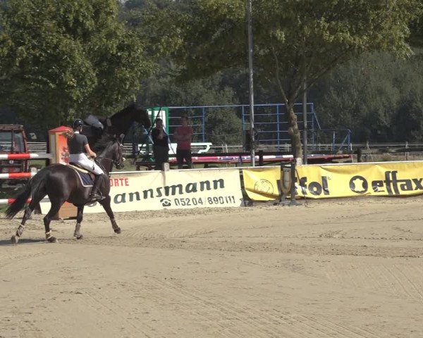Reitturnier Osnabrück 2023