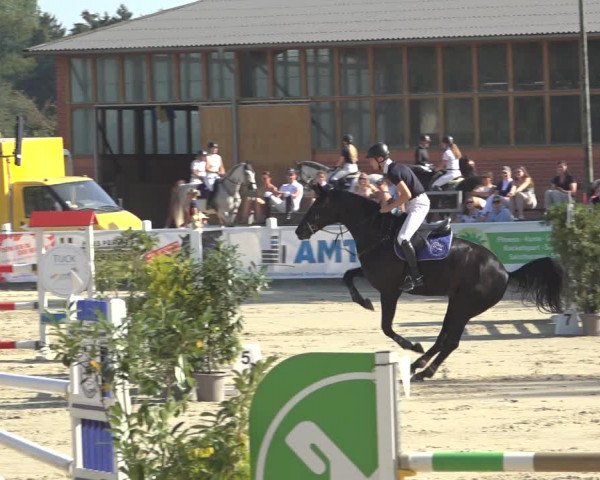 Reitturnier Osnabrück 2023