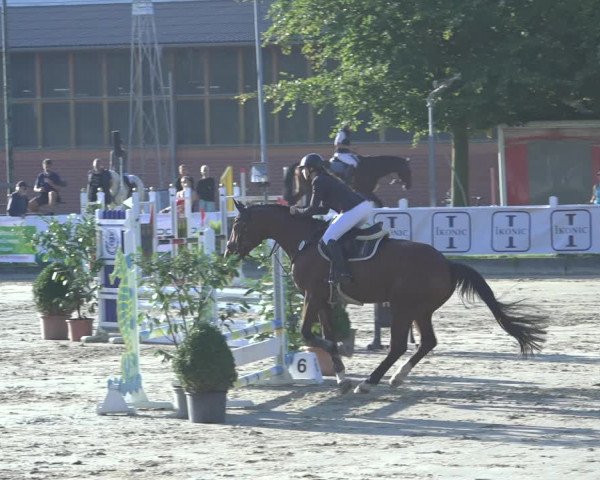 Reitturnier Osnabrück 2023