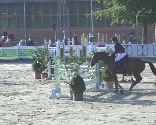 Reitturnier Osnabrück 2023
