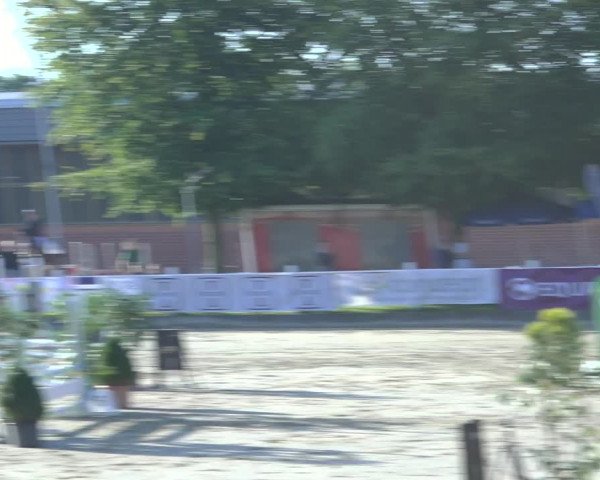 Reitturnier Osnabrück 2023