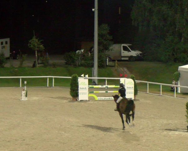 Reitturnier Bülach 2023