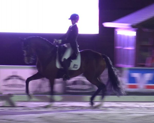 Reitturnier Dortmund-Barop 2023