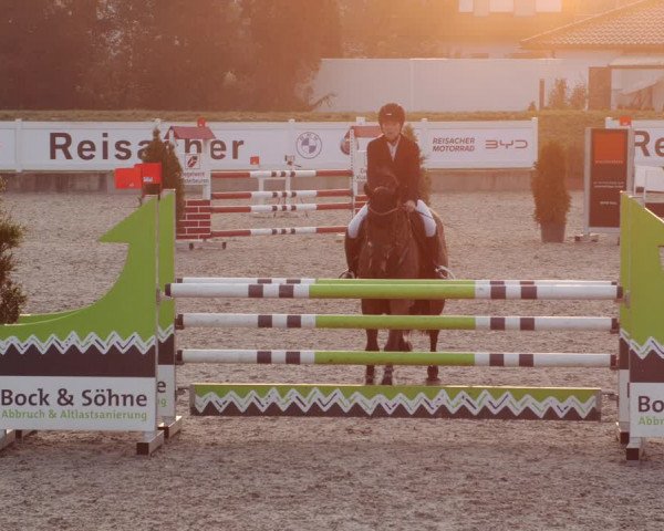 Reitturnier Babenhausen 2023