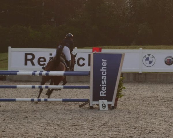 Reitturnier Babenhausen 2023