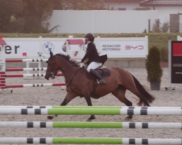 Reitturnier Babenhausen 2023