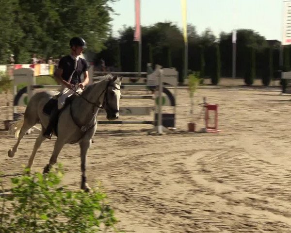 Reitturnier Meinerzhagen 2023