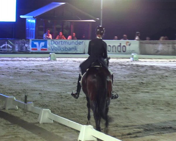 Reitturnier Dortmund-Barop 2023