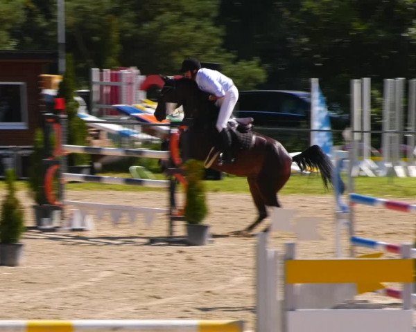 Reitturnier Bad Liebenstein/Sorga 2023