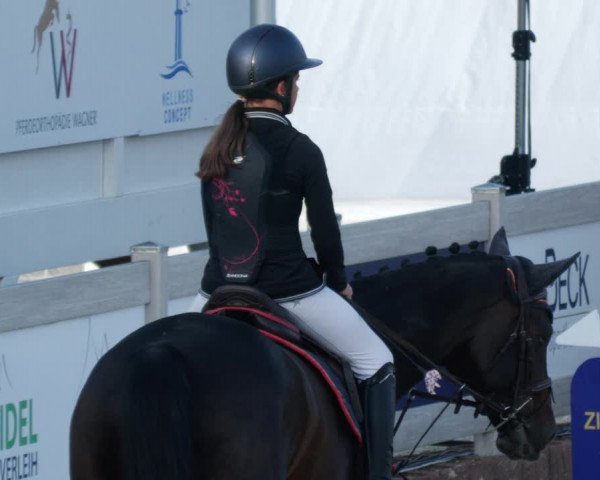 Reitturnier Winterlingen 2023
