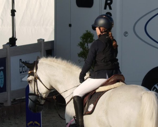 Reitturnier Winterlingen 2023