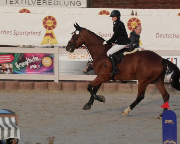 Reitturnier Winterlingen 2023